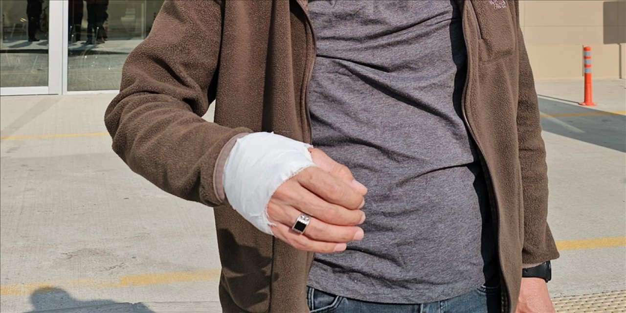 Konya ilk üçe girdi! 655 acemi kasap kendini kesti