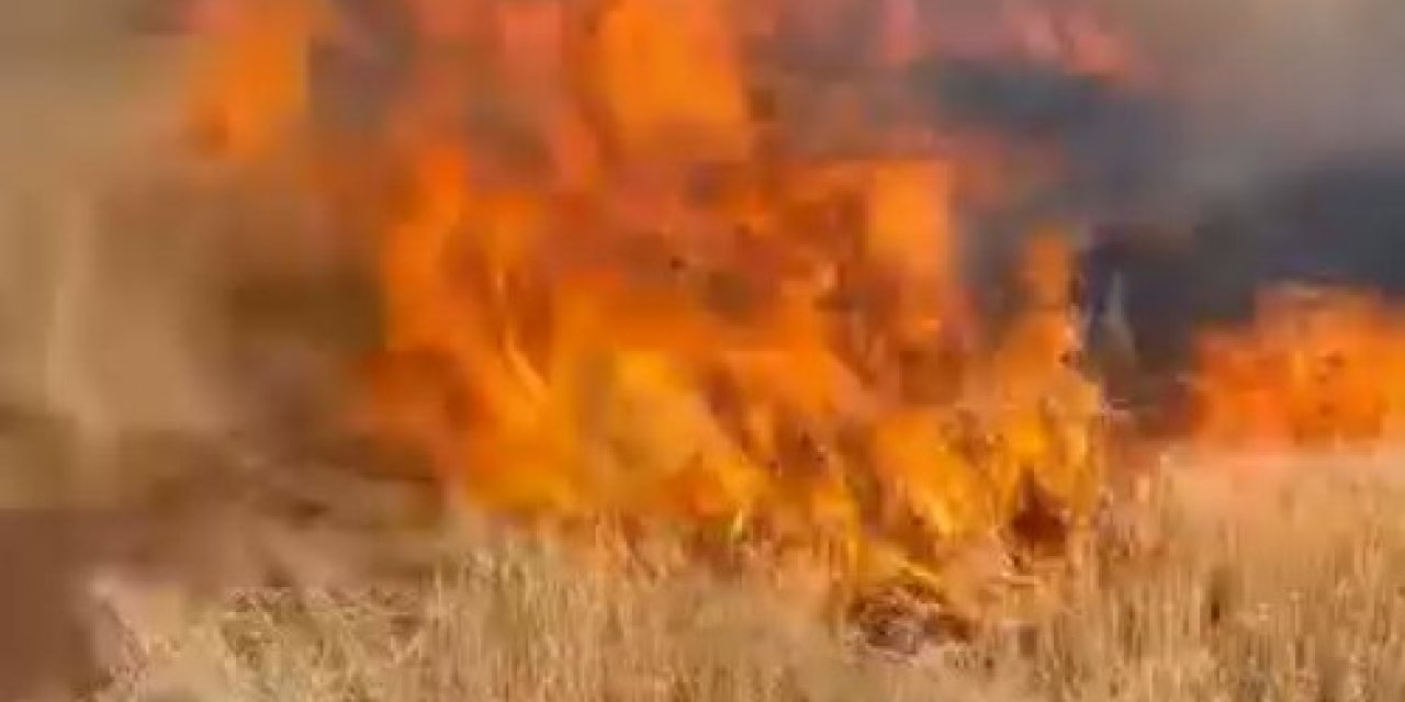 170 dönümlük buğday tarlası küle döndü