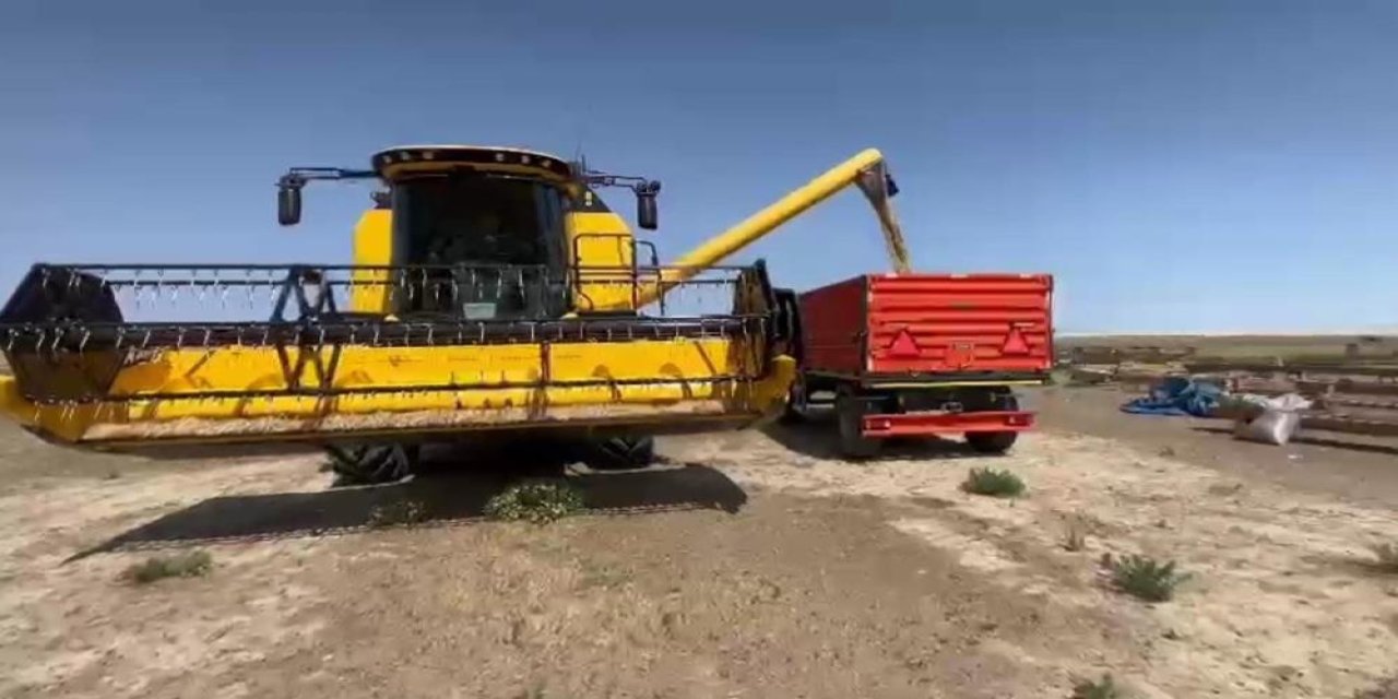 Konya’da çiftçinin emeği tarlada kaldı