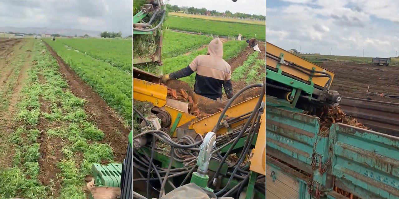 Konya’nın üretiminde lider olduğu üründe ilk hasat