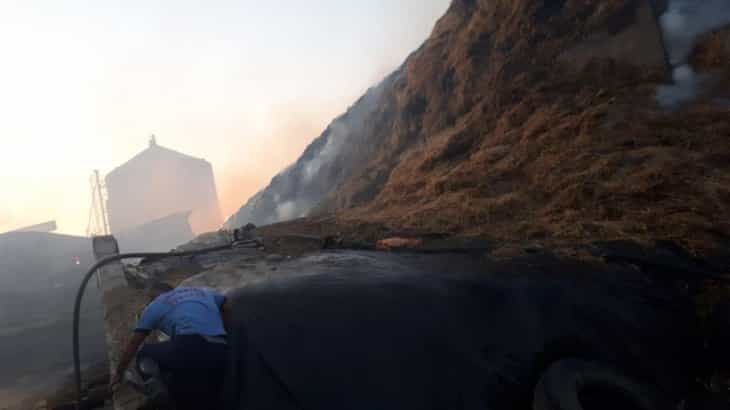 10 bin büyükbaş hayvanın bulunduğu çiftlikte korkutan yangın