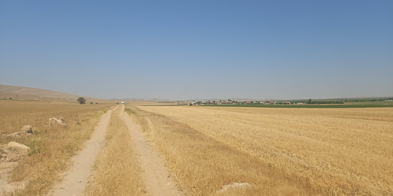 Konya Ovası kuraklığa direniyor! İlk hasat bu ilçede yapıldı