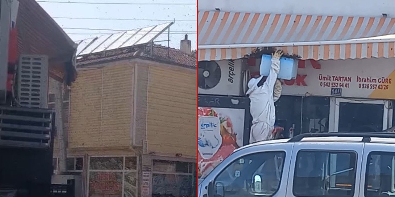 Konya’da firari arı paniği! Kimse yaklaşamadı