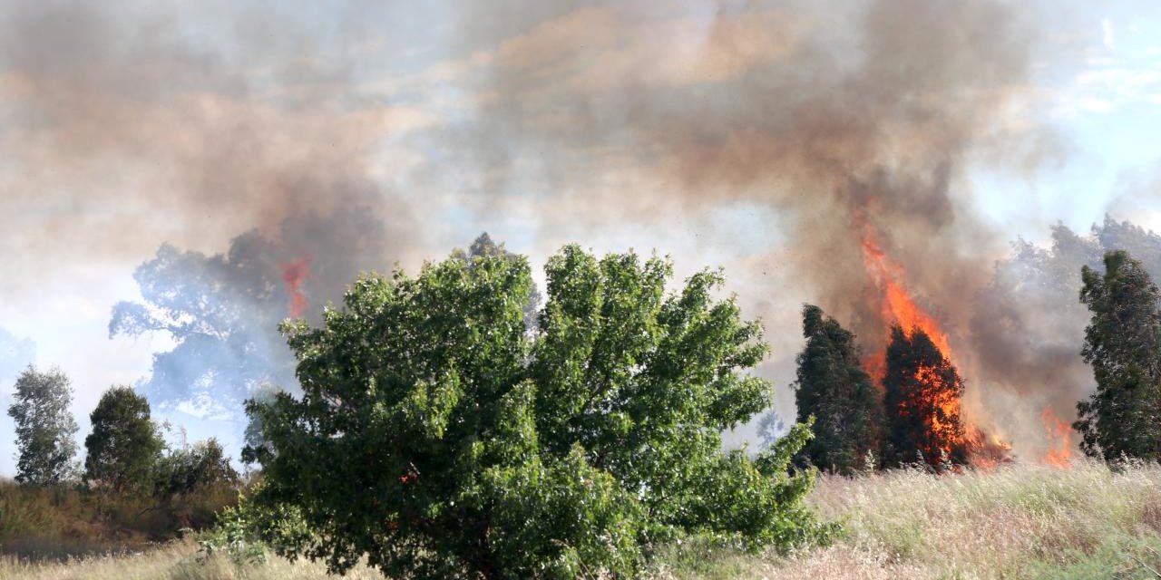 Mangal yakarken ormanı da yaktı: Bir kişi tutuklandı