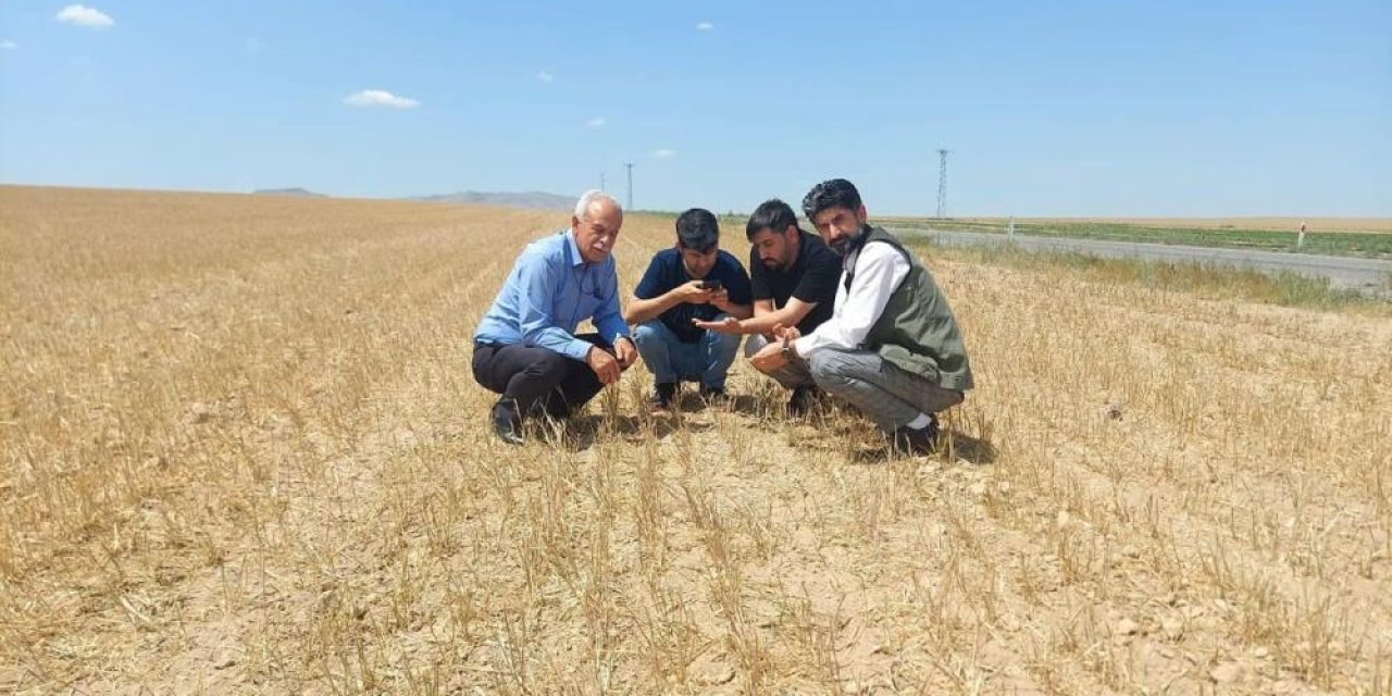 Konya’da acı tablo! 50 bin lira masrafa 1 ton ürün çıktı