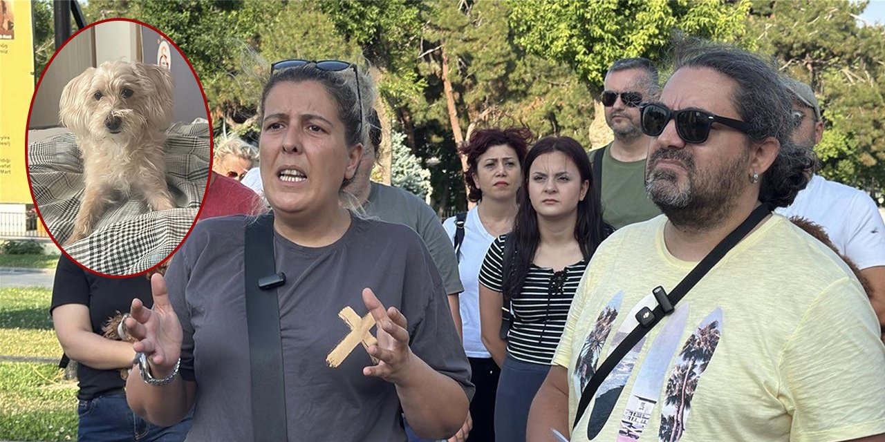 Köpek oteline bırakılan Tarçın ölü bulundu