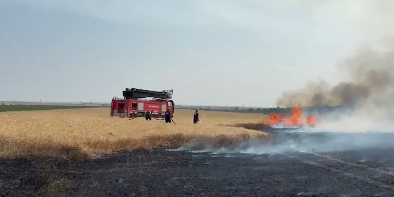 500 dekarlık buğday tarlası küle döndü