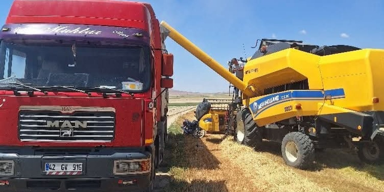 Konya’da harman zamanı! İlk hasat yapıldı