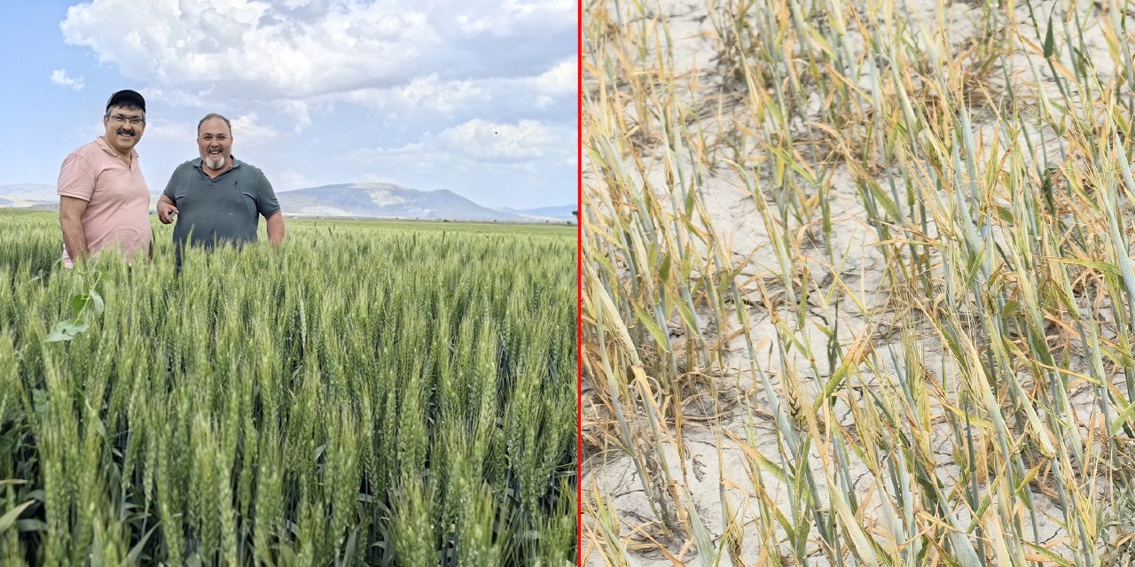 Konya’dan bir iyi bir kötü haber