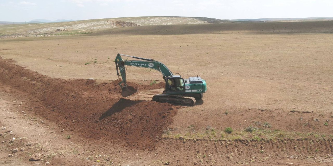 Konya’nın yeşil karıncaları tarım arazilerini koruyacak