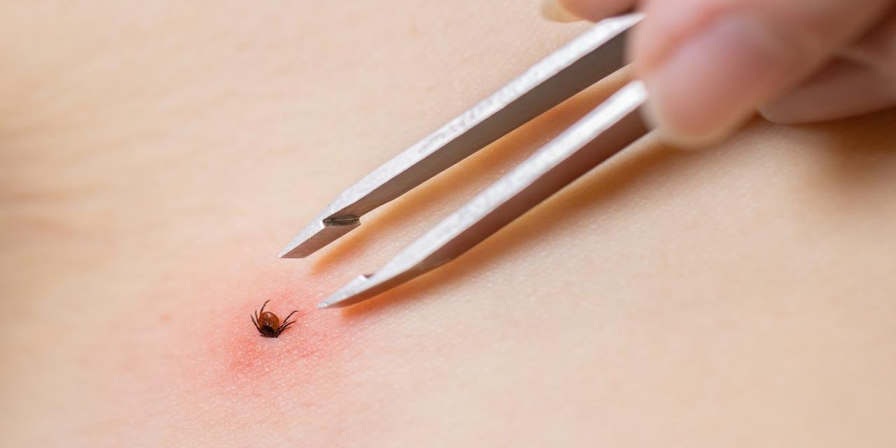 Konya'da risk yok değil! Grip gibi başlayıp ölümle bitebiliyor