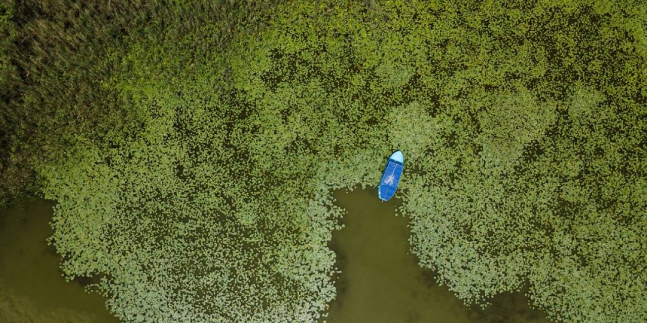 Güneşle uyanıyor, öğlen küsüp saklanıyor! Mucizeyi görmek isteyen Konya’ya akın ediyor