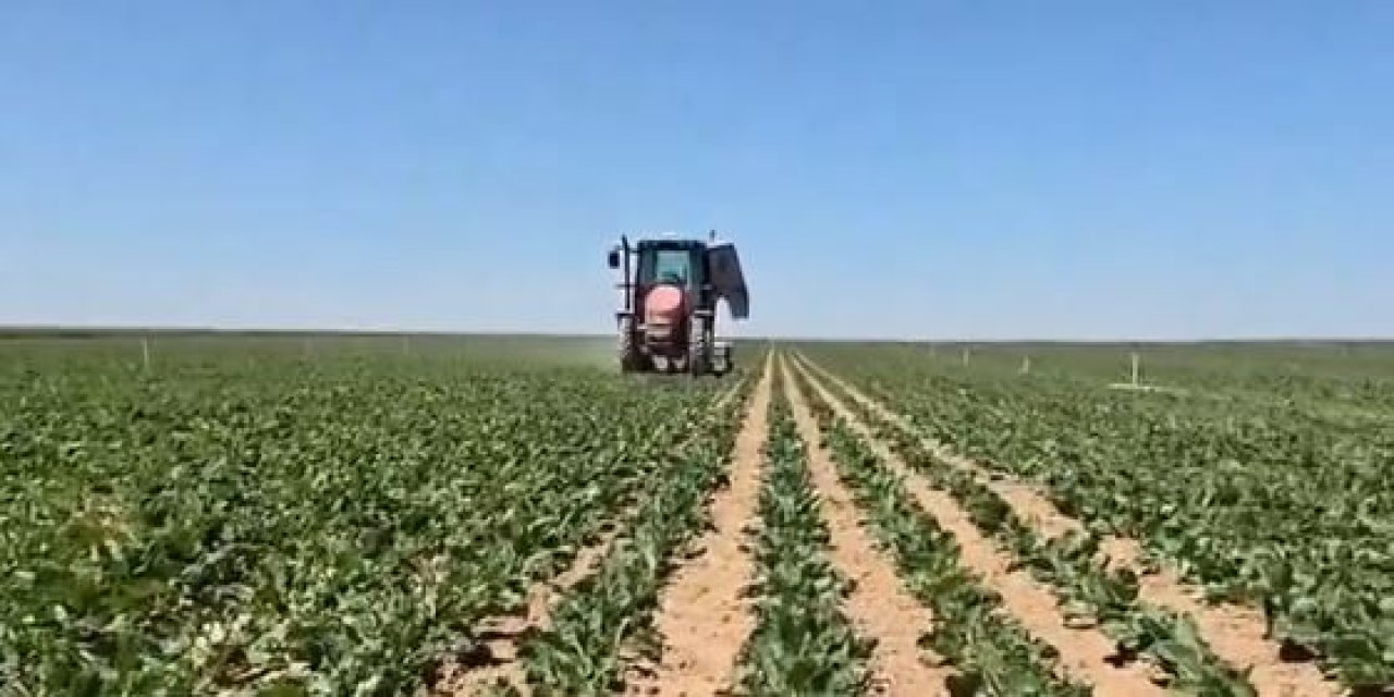 Konyalı çiftçi sürücüsüz traktörle çapa yaptı