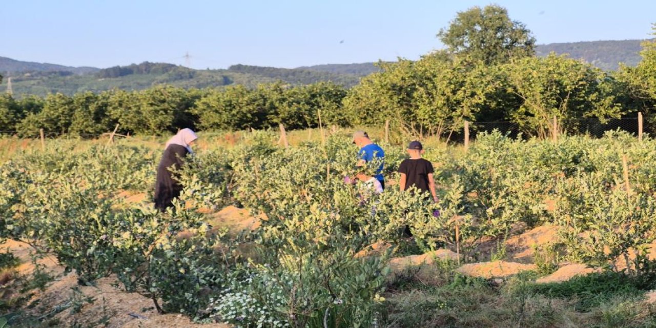 22 yaşında kendi bahçesini kurdu, şimdi talebe yetişemiyor