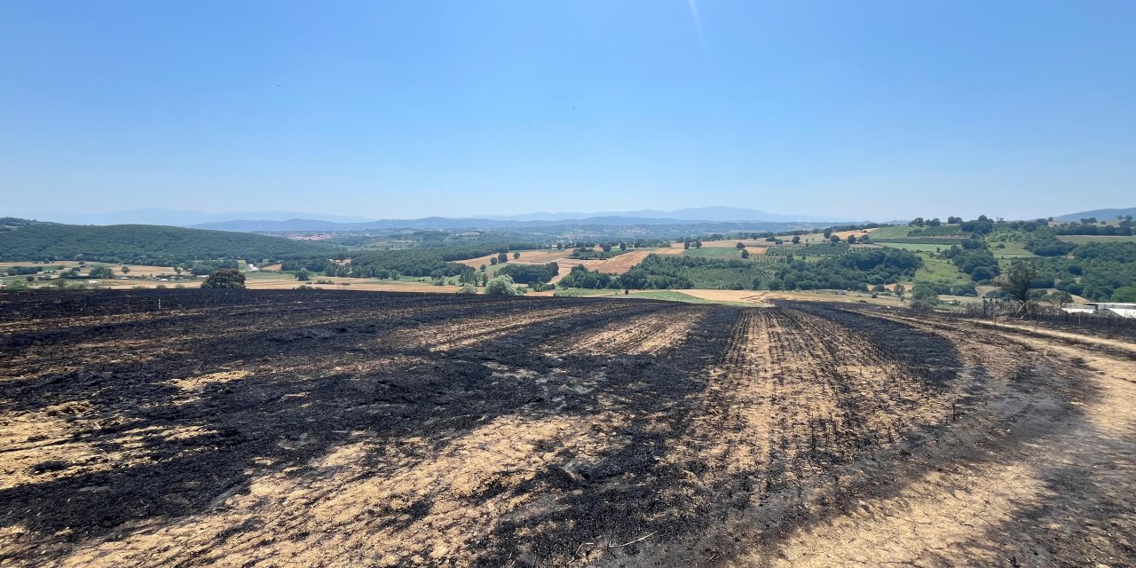 Çiftçinin bir yıllık emeği 2 saatte kül oldu