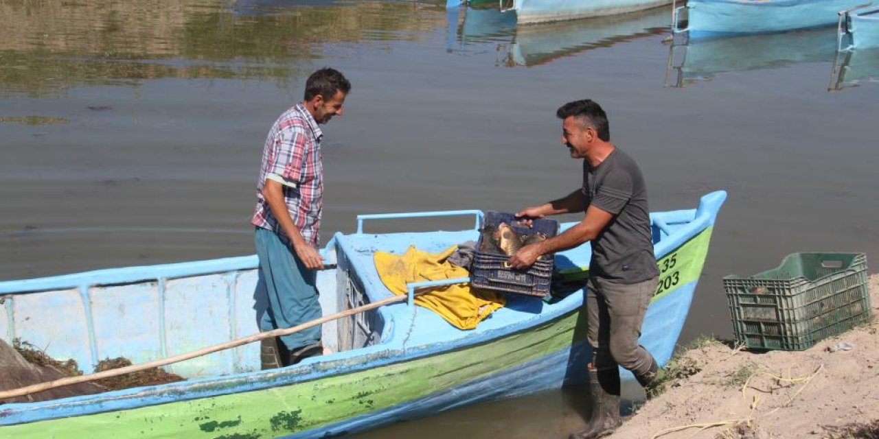 Sezon açıldı, Konya’da avcıların yüzü gülüyor