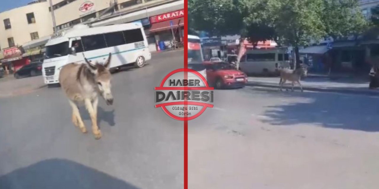 Konya trafiğinde gezeni gören hemen telefona sarıldı