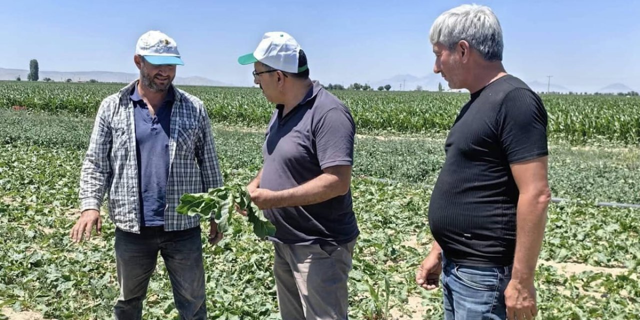 Konya’nın tarımla geçinen ilçesinde durum hiç iç açıcı değil