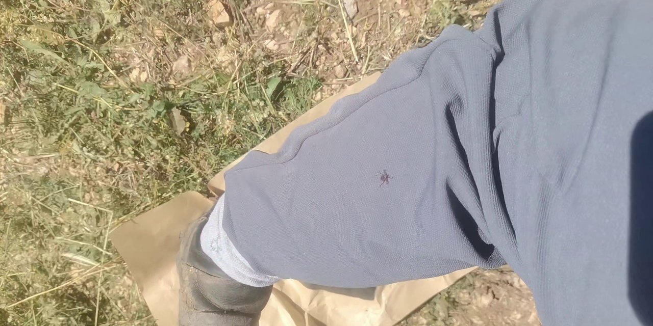 Tarlada çalışırken kokusunu aldılar, bir anda etrafını sardılar