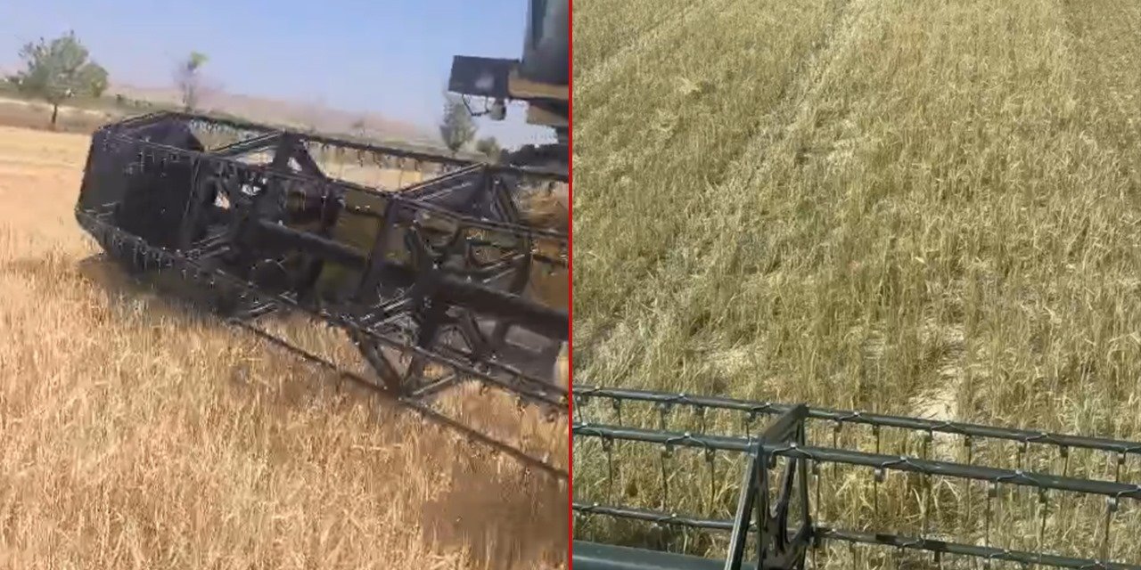 Konya’da çiftçinin hasat hüsranı