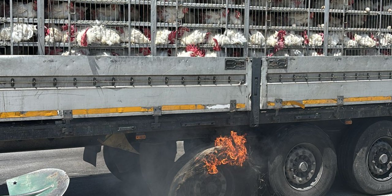 Konya’da tavuk yüklü TIR alev aldı