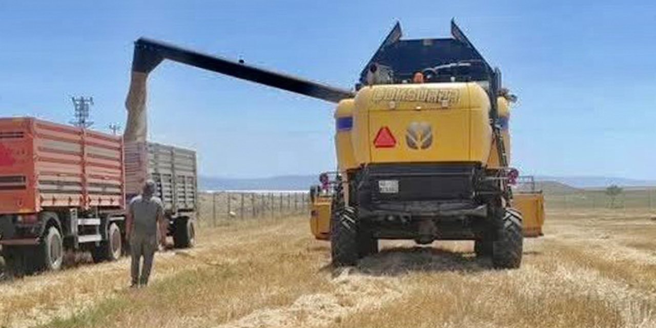 Konya’da kuraklık verimi düşürdü! Tarlada biçilen her başak mercek altında