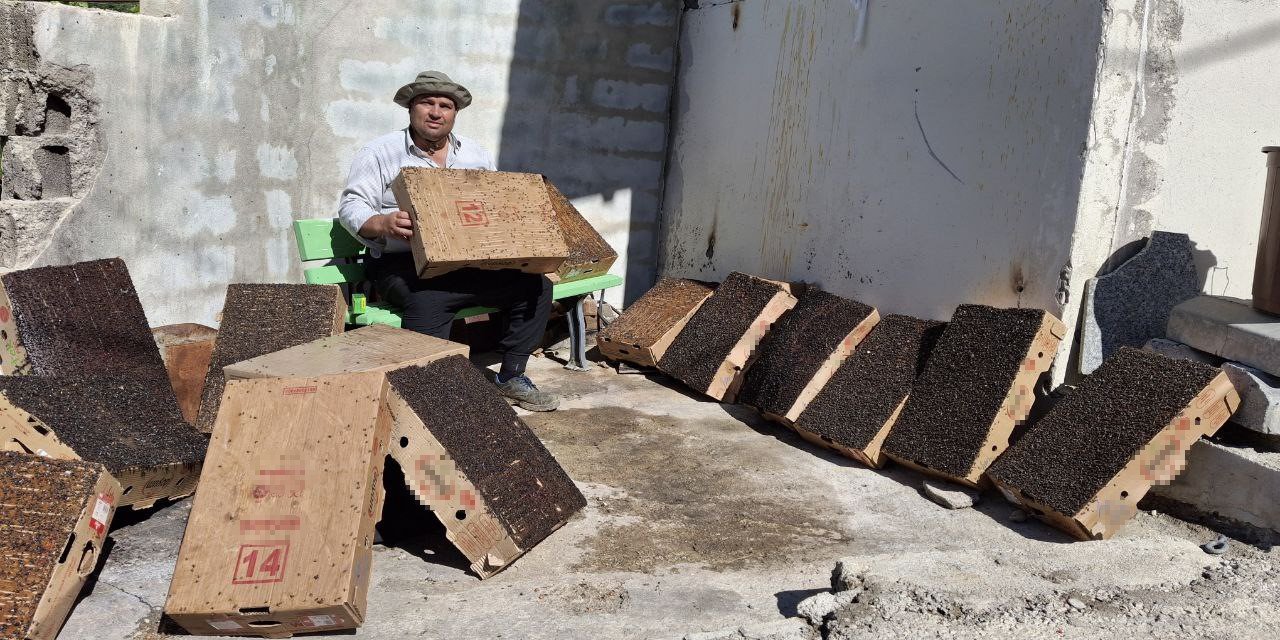 Mahalleyi istila ettiler! Geliştirdiği yöntemle binlercesini yakaladı