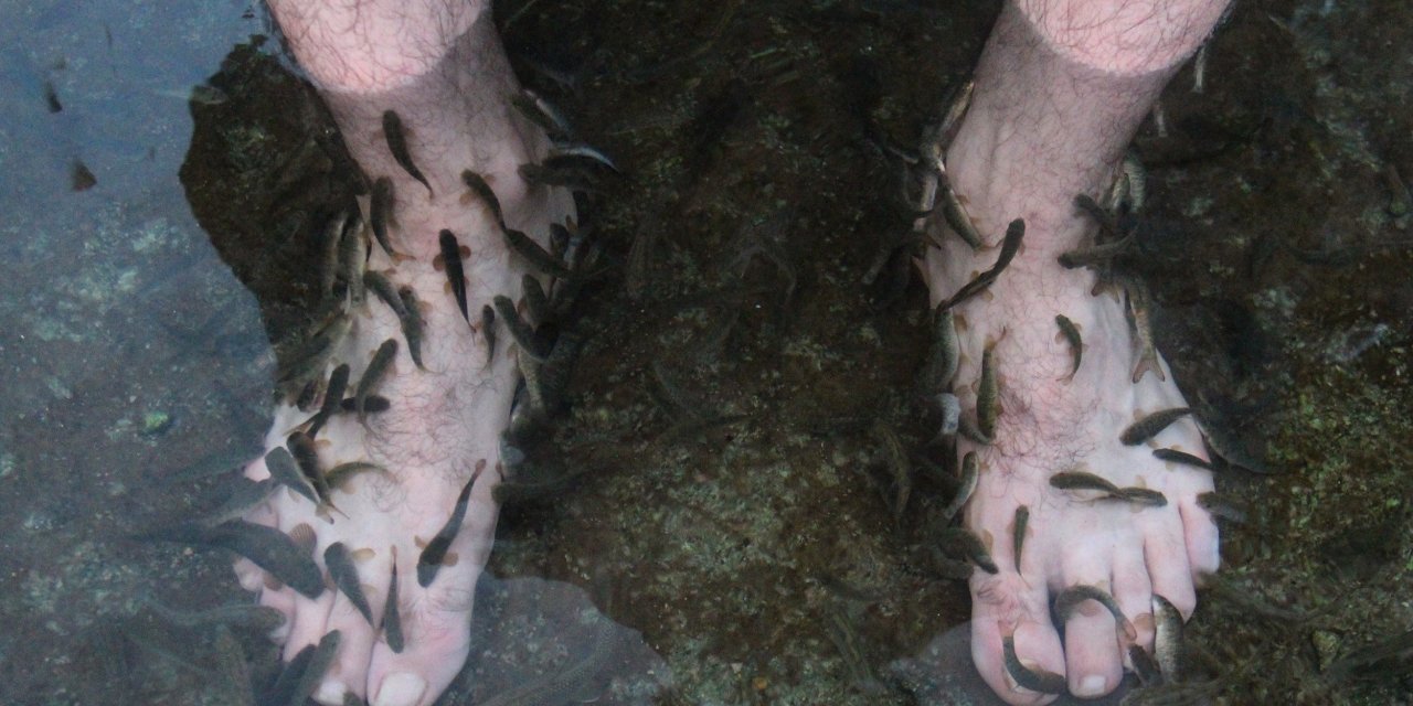 Türkiye’nin tüm dünyaya şifa olan "doktor balıkları" 5 aydır şifa dağıtamıyor