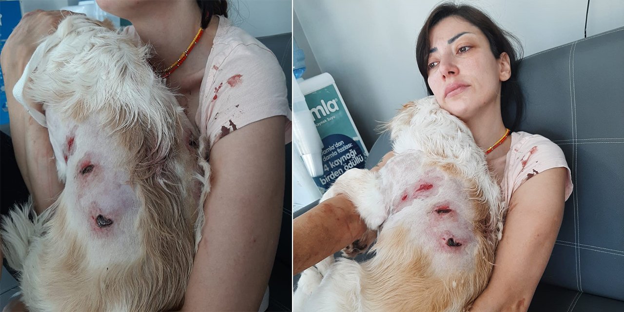 Yürüyüş yaparken dehşeti yaşadı! Köpeğiyle kanlar içinde kaldı