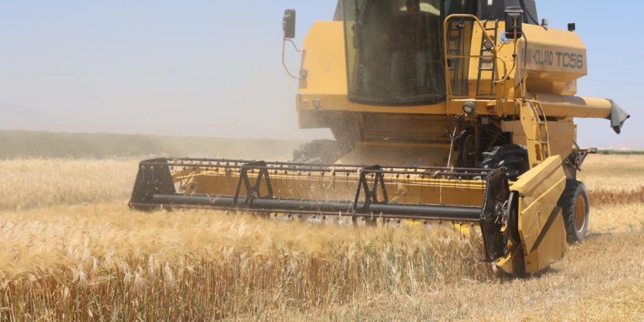 Konya Ovasında verim dibe vurdu! Fiyatlar artabilir