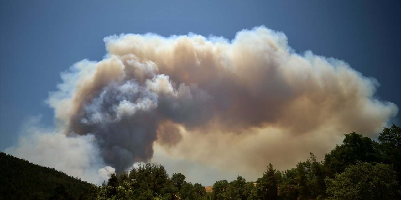 Orman yangını büyüdü, alevler şehir değiştirdi