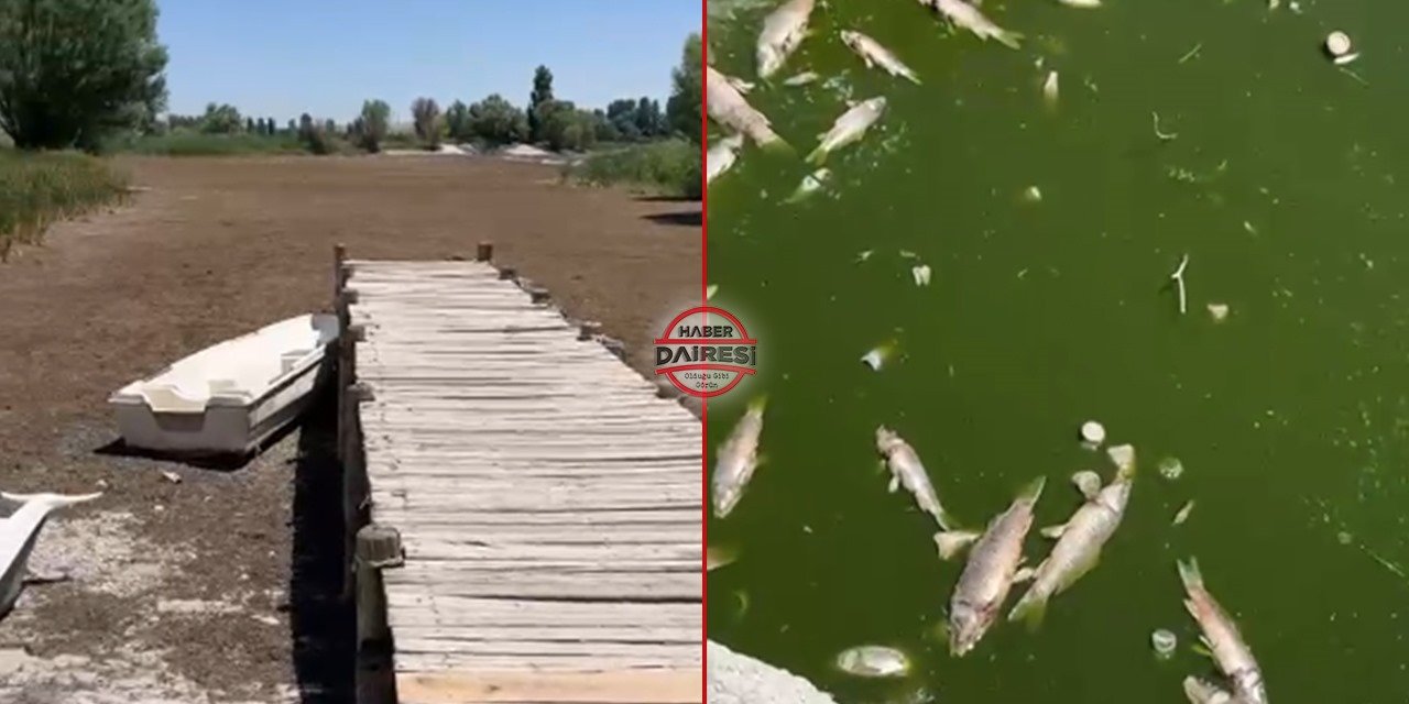 Belediyenin ilgisizliği Konya’da bir parkı içler acısı hale getirdi