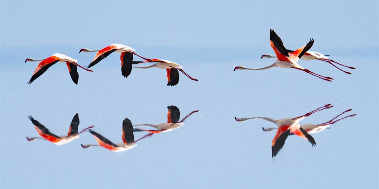 Kuraklık Tuz Gölü’ndeki kuşları kaçırdı