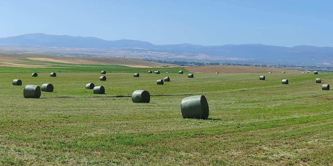 Konya’daki manzara hayran bıraktı, gören Hollanda sandı