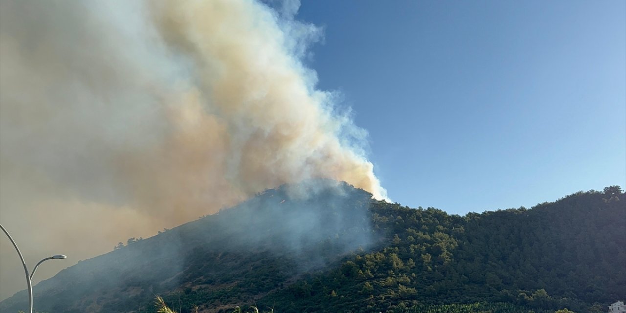 Türkiye'nin ciğerleri yanıyor