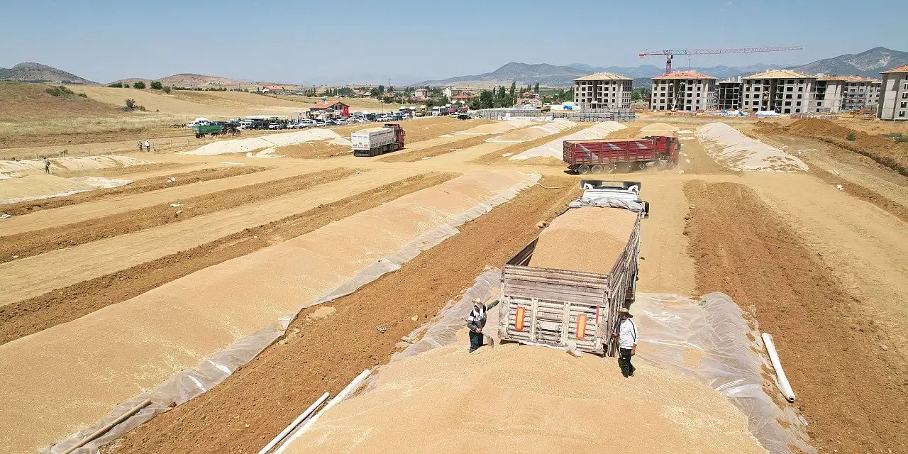 Konya’nın bu ilçesinde hububat alımı başlıyor! Artık altın değerinde