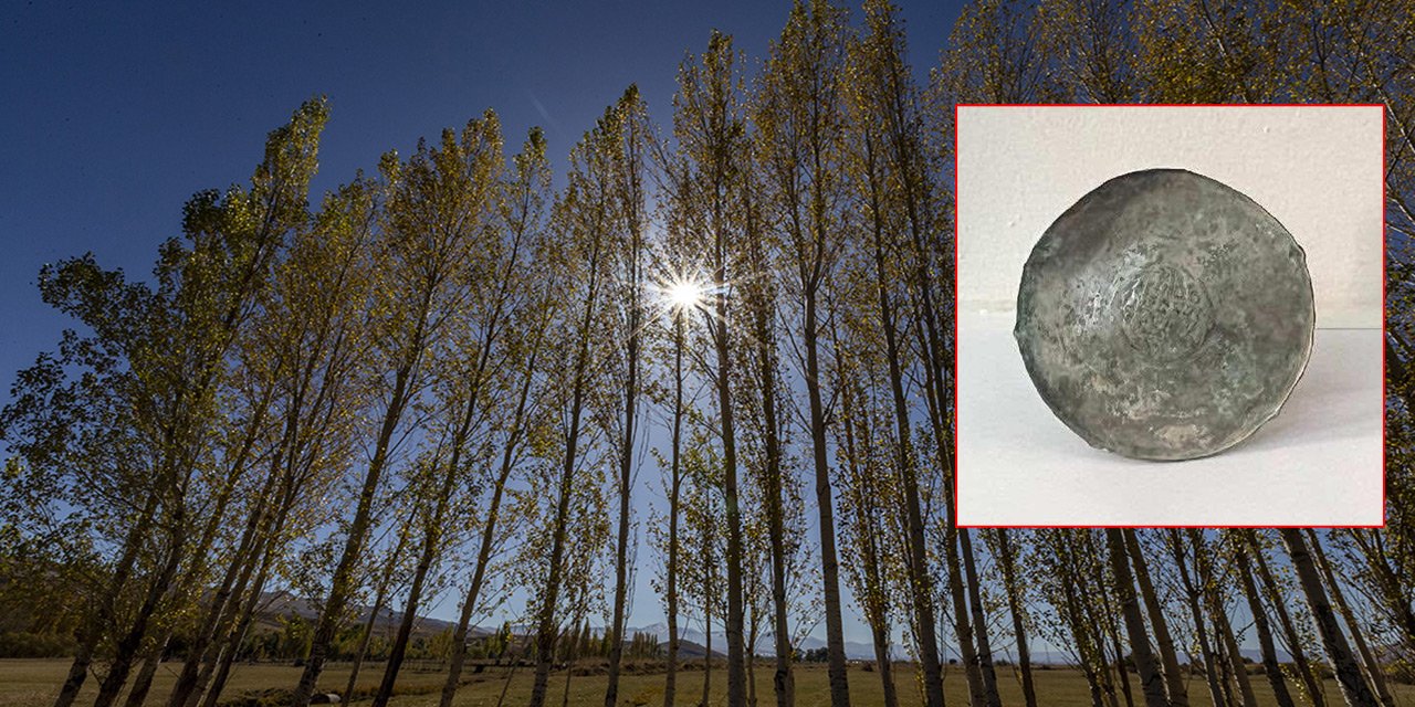 Piknik yaparken buldu, binlerce yıl öncesine ait çıktı