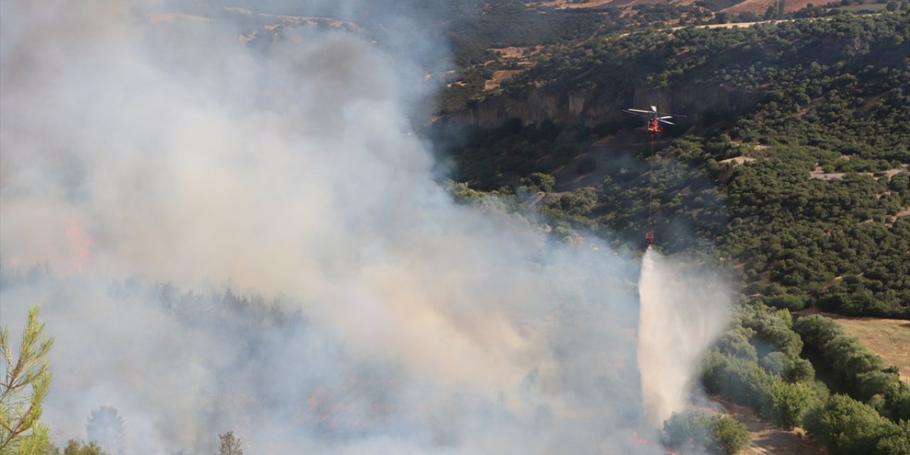 Türkiye orman yangınlarıyla mücadele ediyor