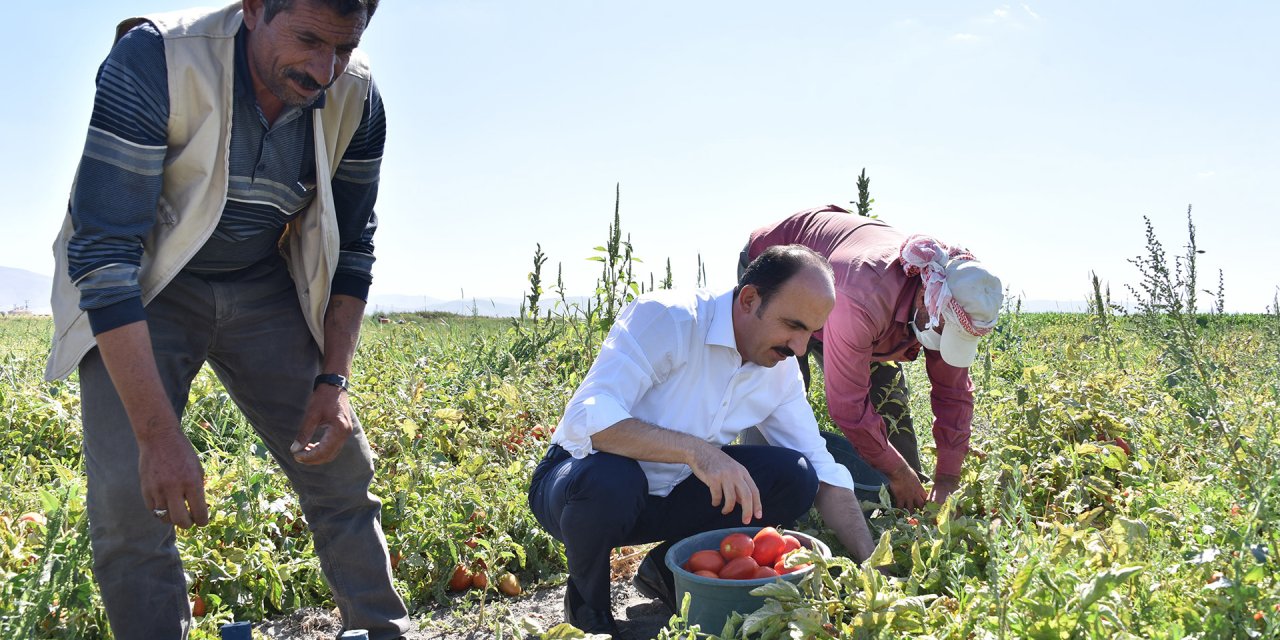Konya'nın 31 ilçesine tarımsal destek! Başvurular başladı