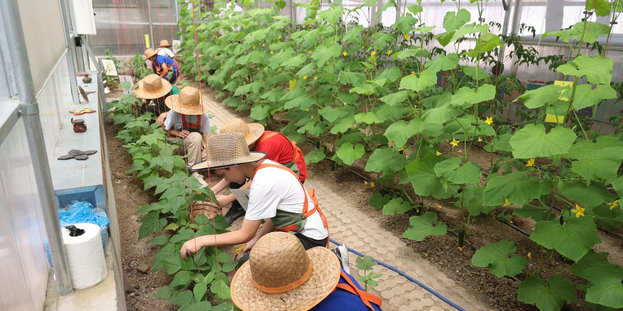 Konya’da 7 bin öğrenci Bilgehanelerin ücretsiz yaz kurslarında buluştu