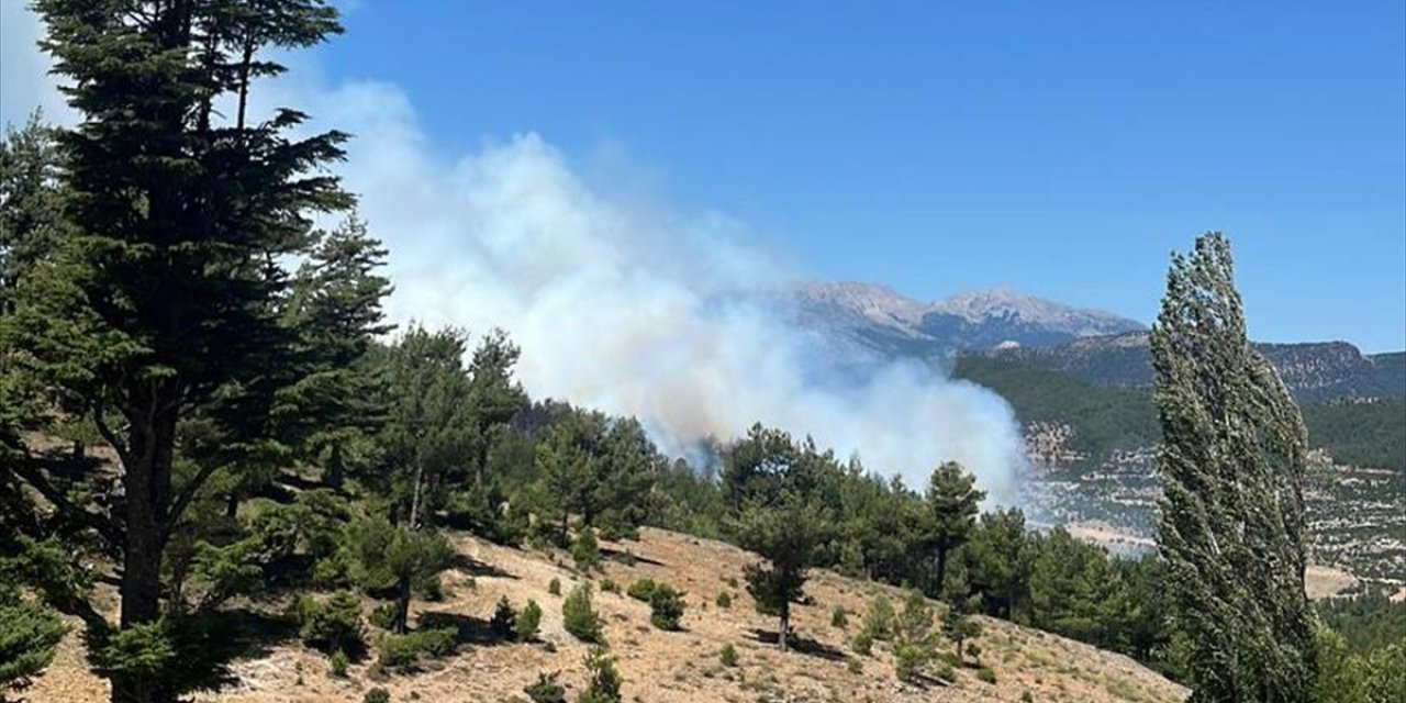 Alevler dinmeden bir yenisi daha! Bir ilimizde daha orman yangını çıktı