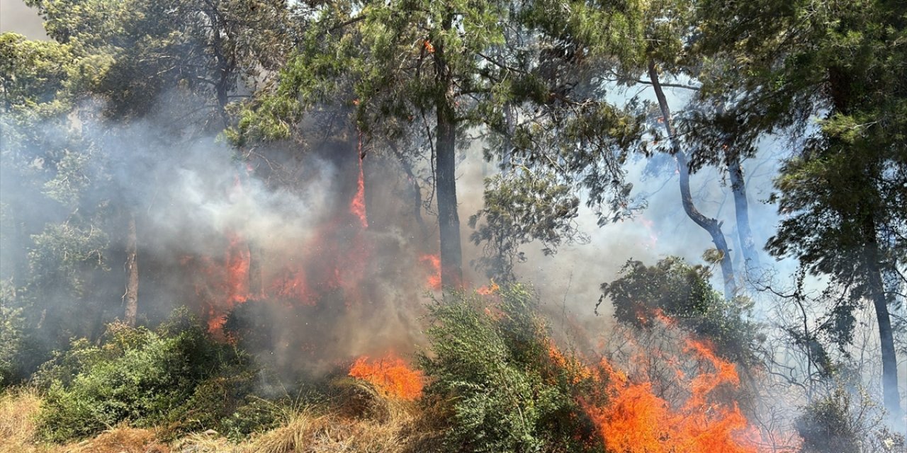 Manavgat'ta orman yangını çıktı! Ekipler alevlere müdahale ediyor