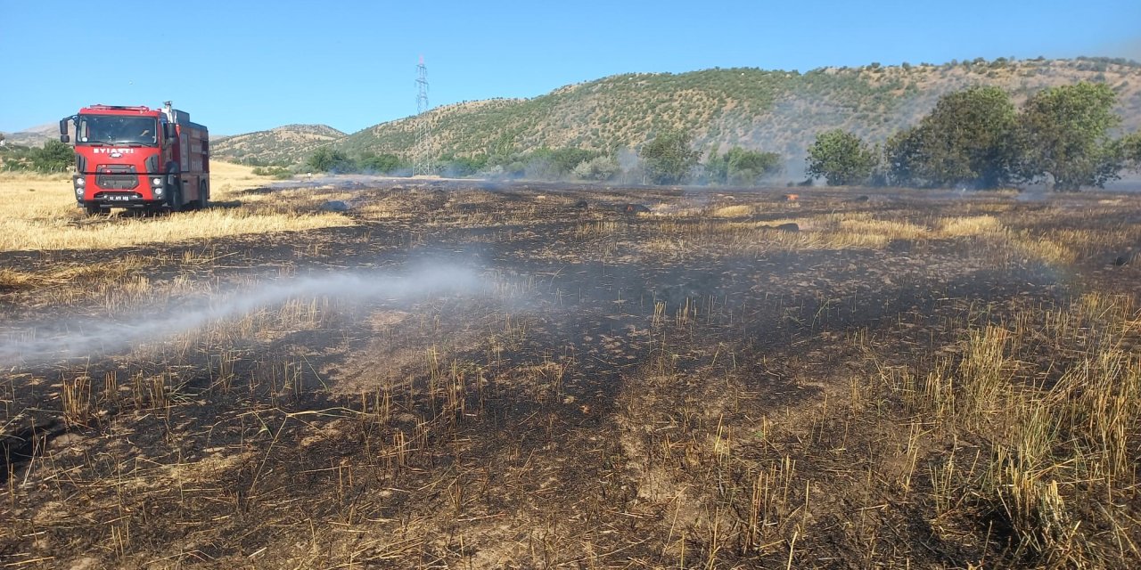 Bir kıvılcım 200 dönümlük araziyi küle çevirdi