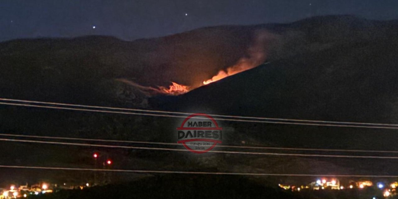Konya’da orman yangını çıktı