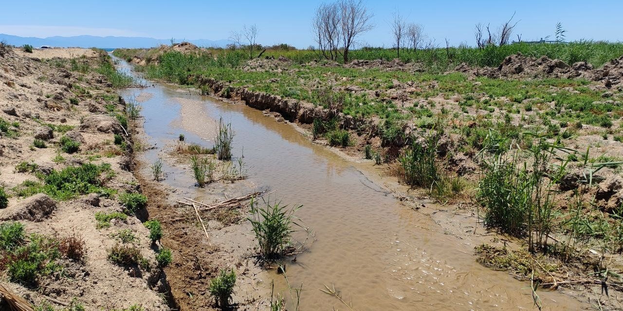 Dereden su içen 40 küçükbaş hayvan 15 dakikada telef oldu