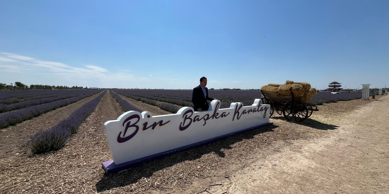 Konya’nın tek hayvanat bahçesi bu lokasyona taşınıyor