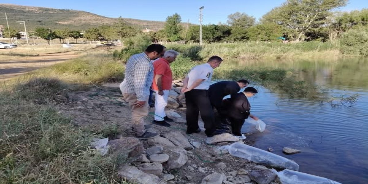 Konya'nın bereketli sularına 3 milyon umut salındı