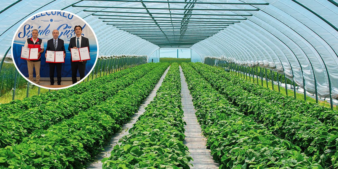 Selçuklu’da çiftçiye dev destek! Yüzde 70 hibeli seralarla bereket artacak