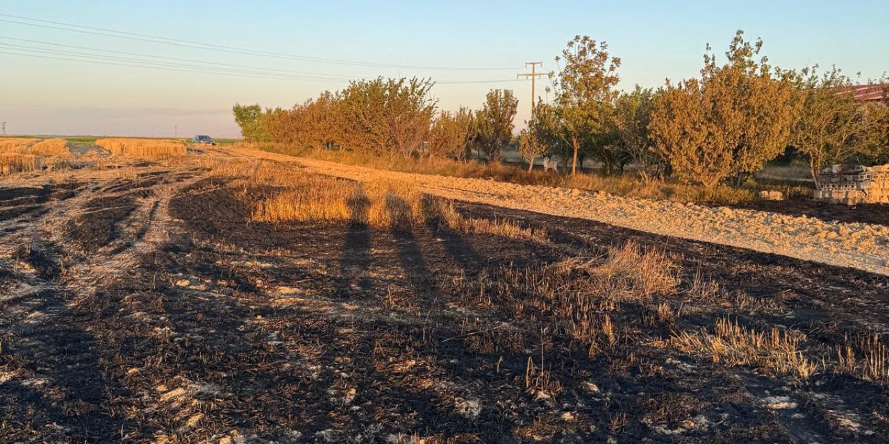 Konya’da bir kuş, 15 dekarlık buğday tarlasını yaktı