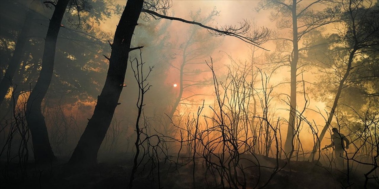 İzmir'de orman yangınlarına müdahale sürüyor